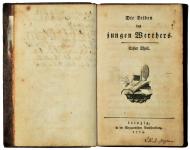 Nuoren Wertherin kärsimykset