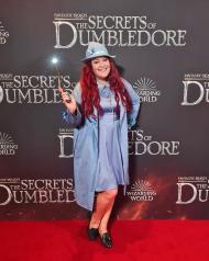 Ihmeotukset: Dumbledoren salaisuudet