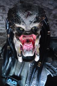 Predator – saalistaja